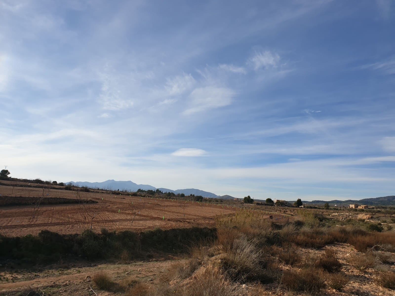 Terre non Aménagée à vendre à Pinoso - 30 995 € (Ref: 4888773)