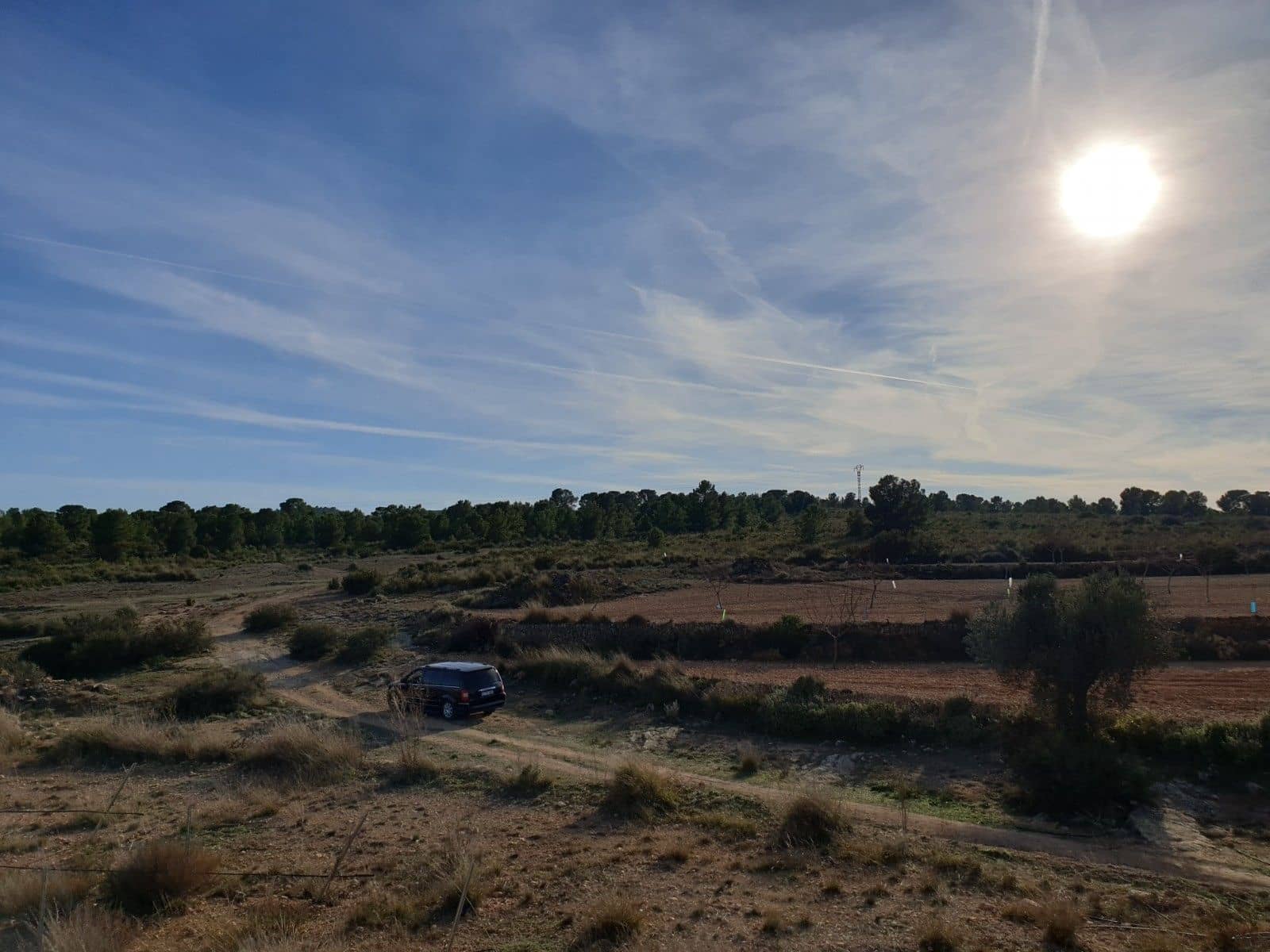 Undeveloped Land for sale in Pinoso - € 30,995 (Ref: 4888773)
