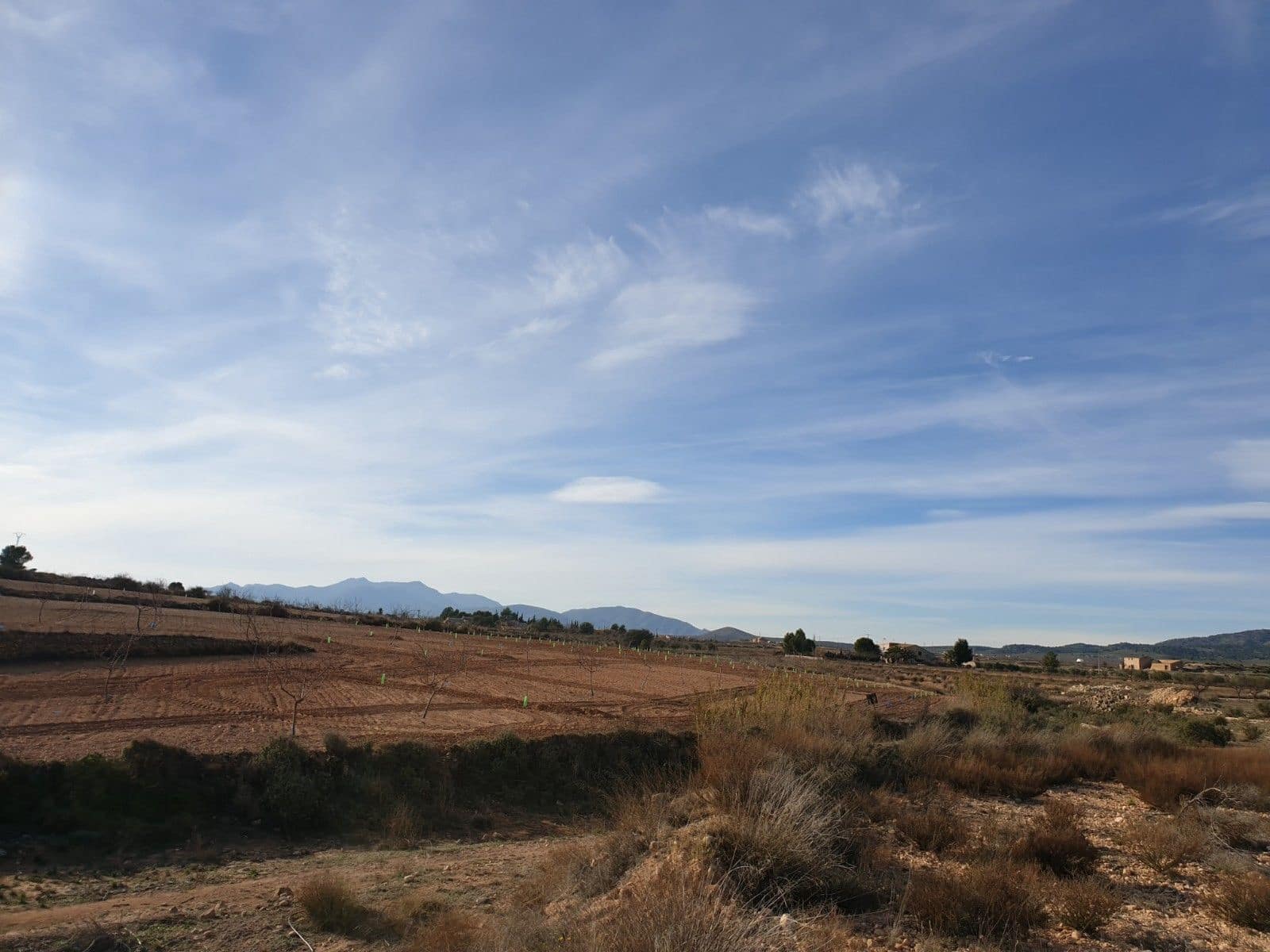 Undeveloped Land for sale in Pinoso - € 30,995 (Ref: 4888773)