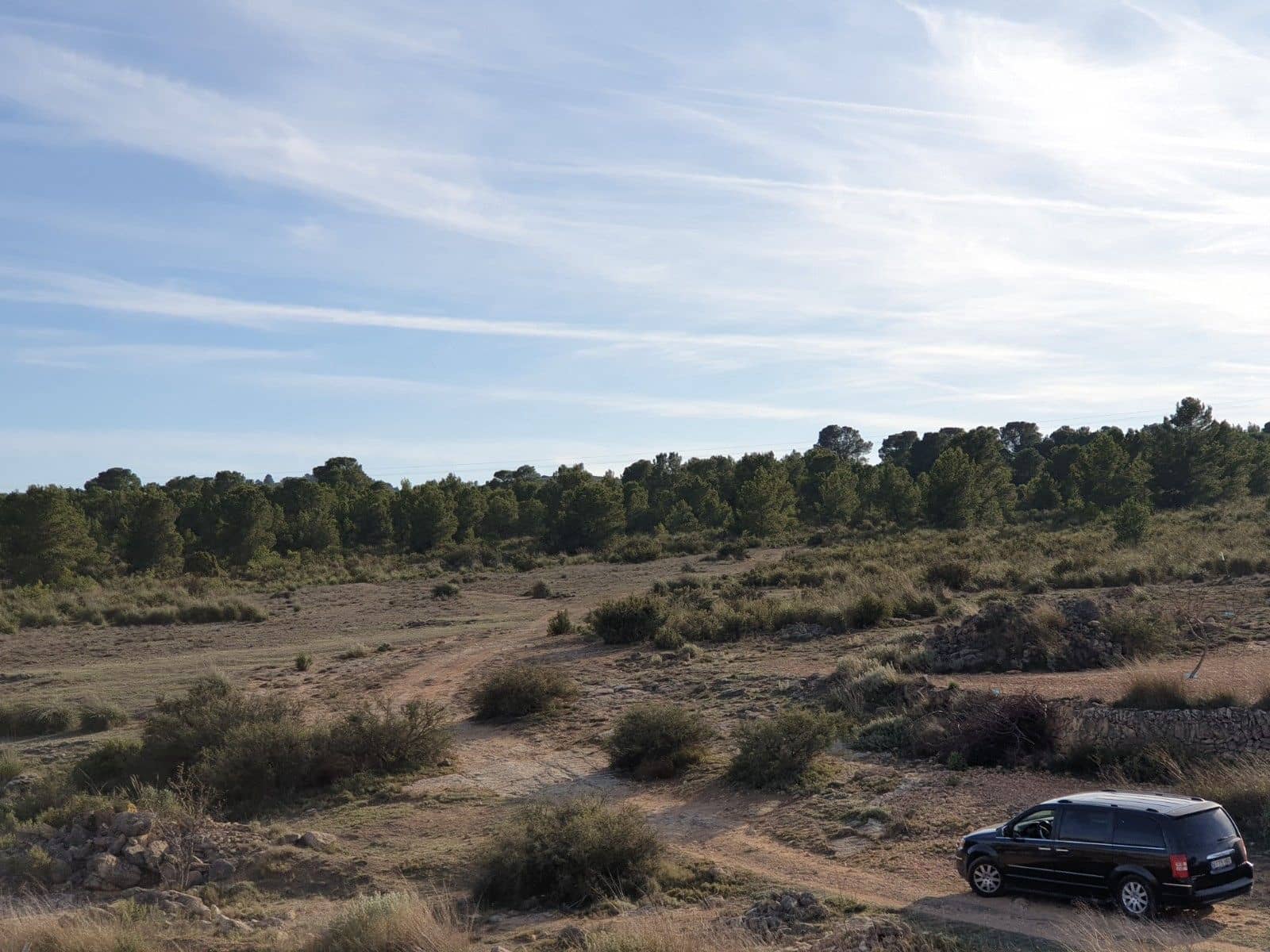 Undeveloped Land for sale in Pinoso - € 30,995 (Ref: 4888773)