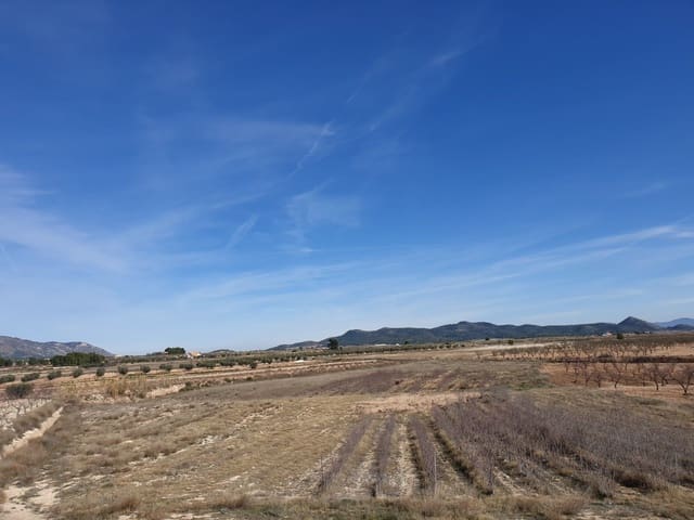 Mark till salu i Pinoso - 30 995 € (Ref: 5125942)
