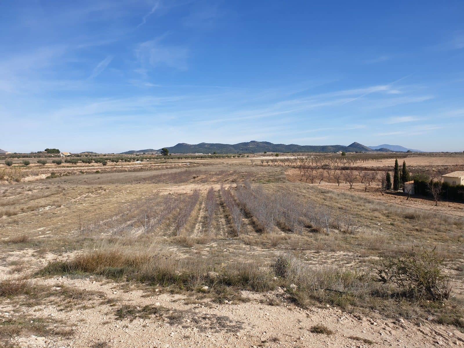 Undeveloped Land for sale in Pinoso - € 30,995 (Ref: 5125942)