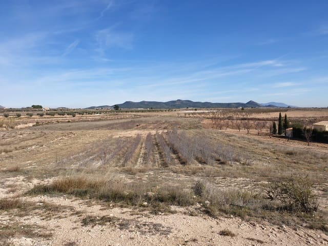 Mark till salu i Pinoso - 30 995 € (Ref: 5125942)