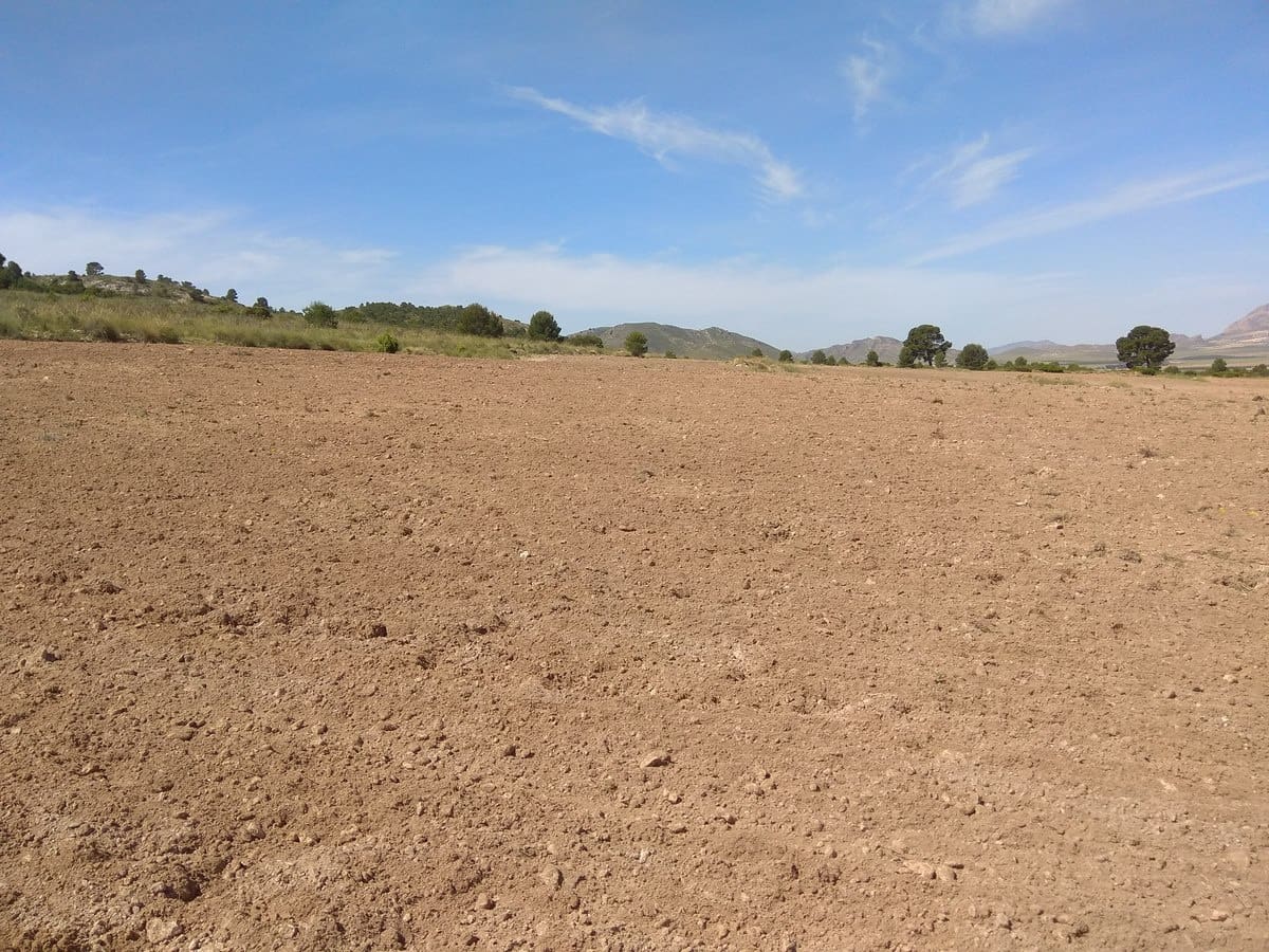 Terre non Aménagée à vendre à Yecla - 599 999 € (Ref: 5503608)