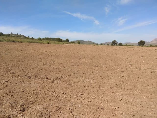 Terre non Aménagée à vendre à Yecla - 599 999 € (Ref: 5503608)