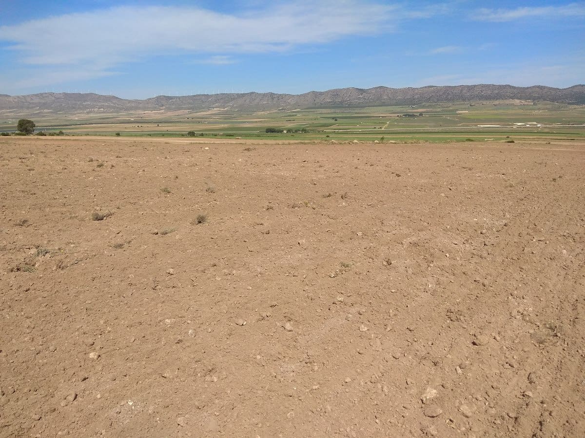 Terre non Aménagée à vendre à Yecla - 599 999 € (Ref: 5503608)