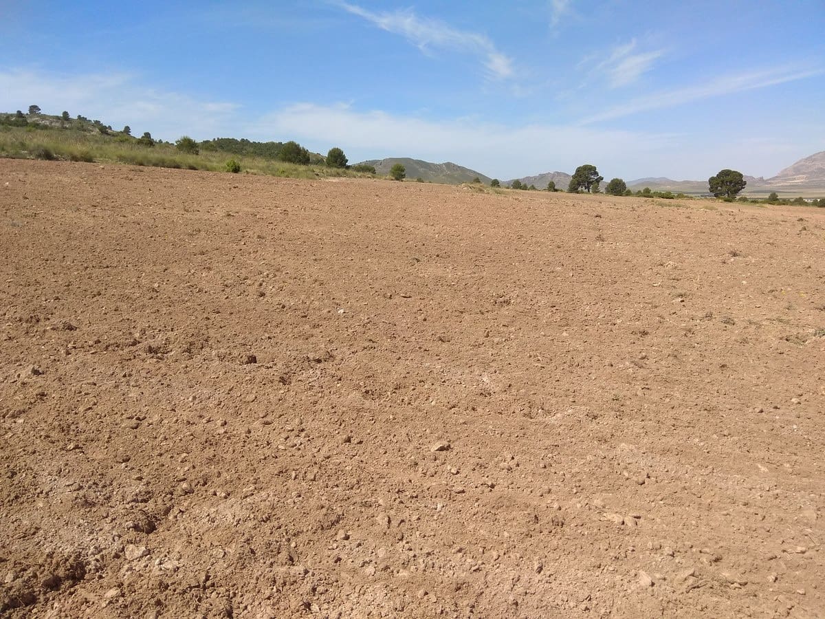 Terre non Aménagée à vendre à Yecla - 599 999 € (Ref: 5503608)