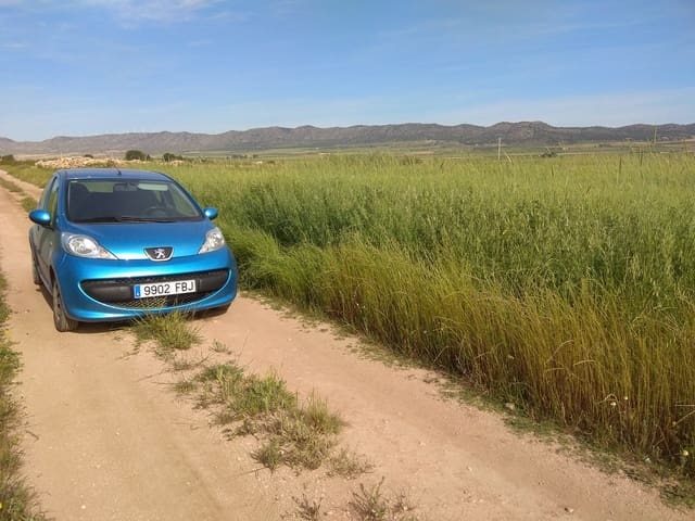 Terre non Aménagée à vendre à Yecla - 599 999 € (Ref: 5503608)