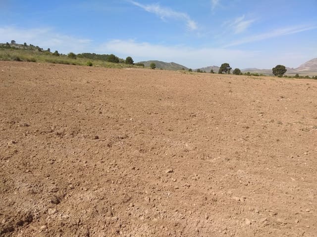 Terre non Aménagée à vendre à Yecla - 599 999 € (Ref: 5503608)