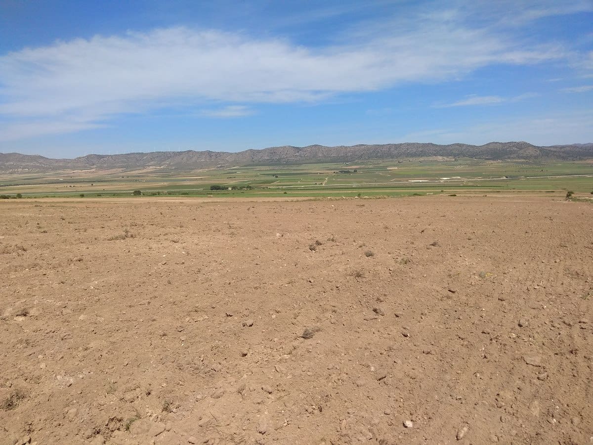 Terre non Aménagée à vendre à Yecla - 599 999 € (Ref: 5503608)