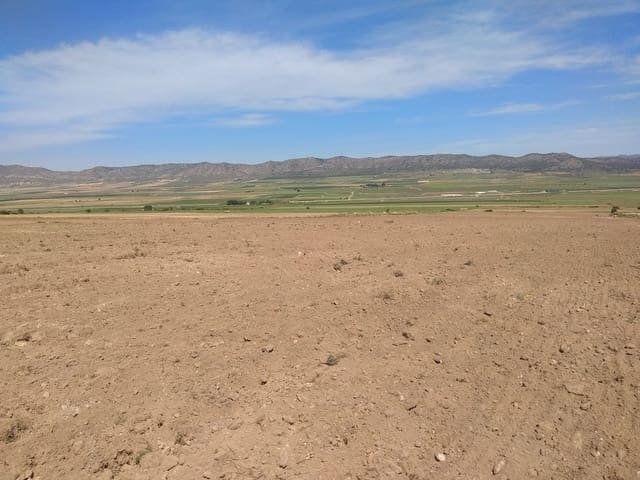 Terre non Aménagée à vendre à Yecla - 599 999 € (Ref: 5503608)