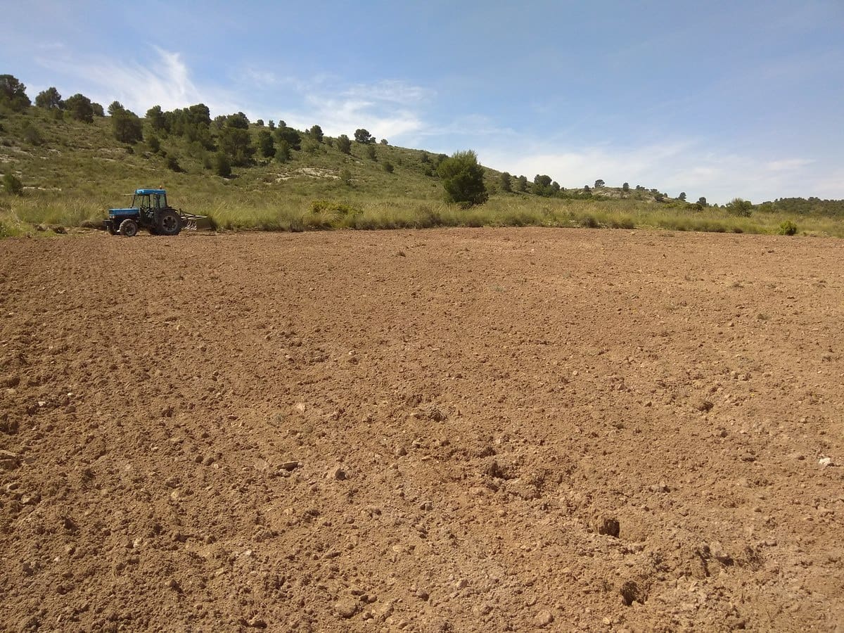 Terre non Aménagée à vendre à Yecla - 599 999 € (Ref: 5503608)