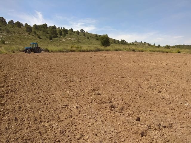 Terre non Aménagée à vendre à Yecla - 599 999 € (Ref: 5503608)