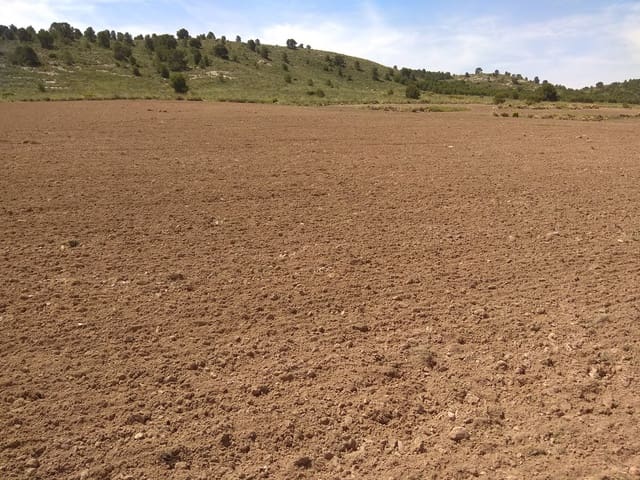 Terre non Aménagée à vendre à Yecla - 599 999 € (Ref: 5503608)