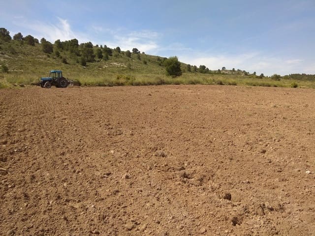 Teren niezagospodarowany na sprzedaż w Yecla - 599 999 € (Ref: 5503608)