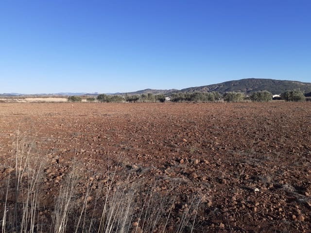 Terreno Não Urbanizado para venda em Pinoso - 35 995 € (Ref: 5879503)