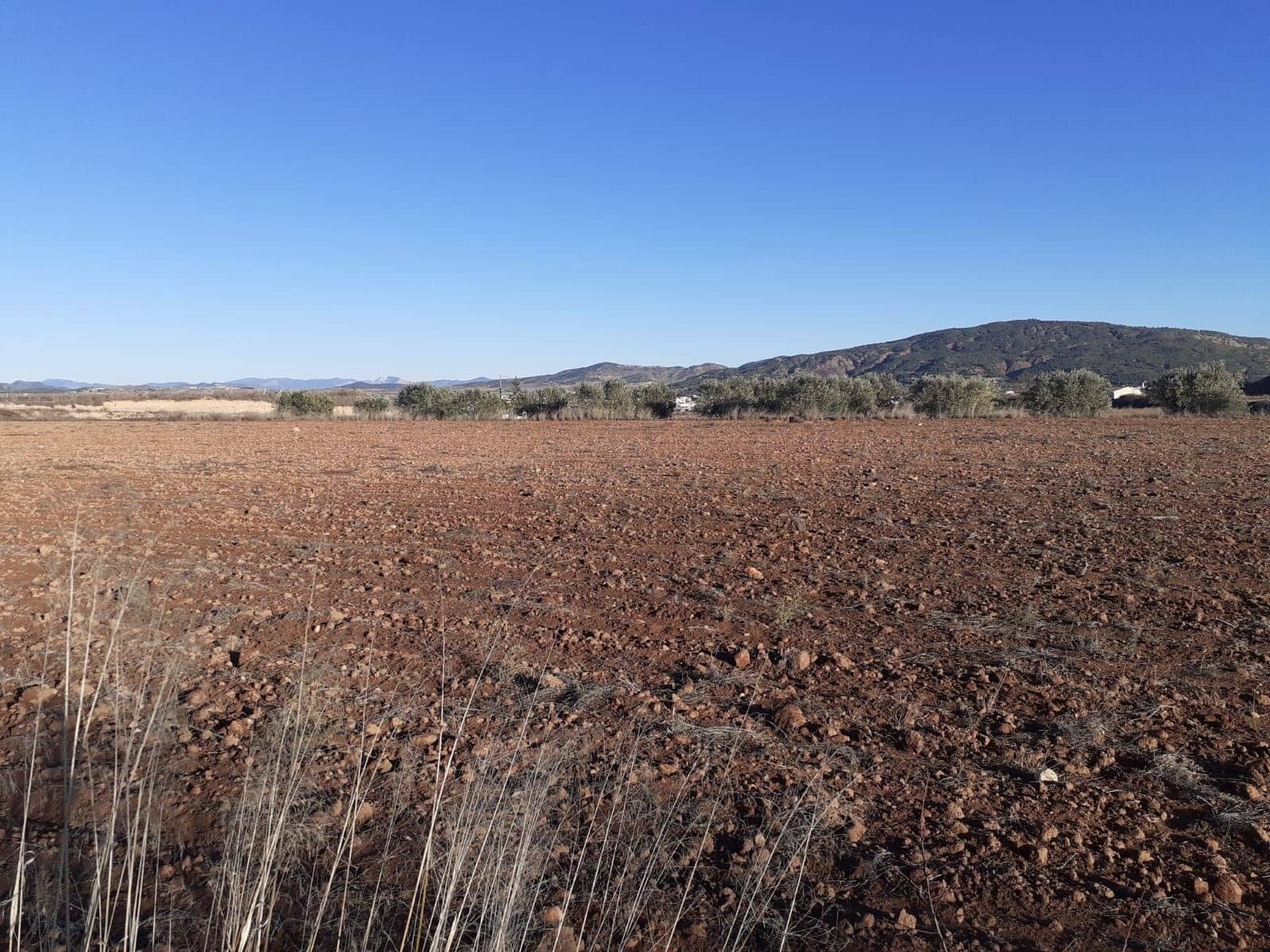 Undeveloped Land for sale in Pinoso - € 35,995 (Ref: 5879503)