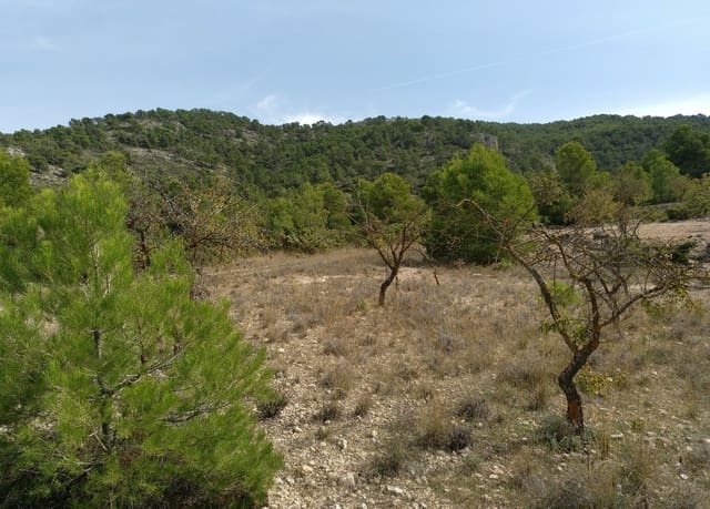 Mark till salu i Abanilla - 22 950 € (Ref: 6685495)