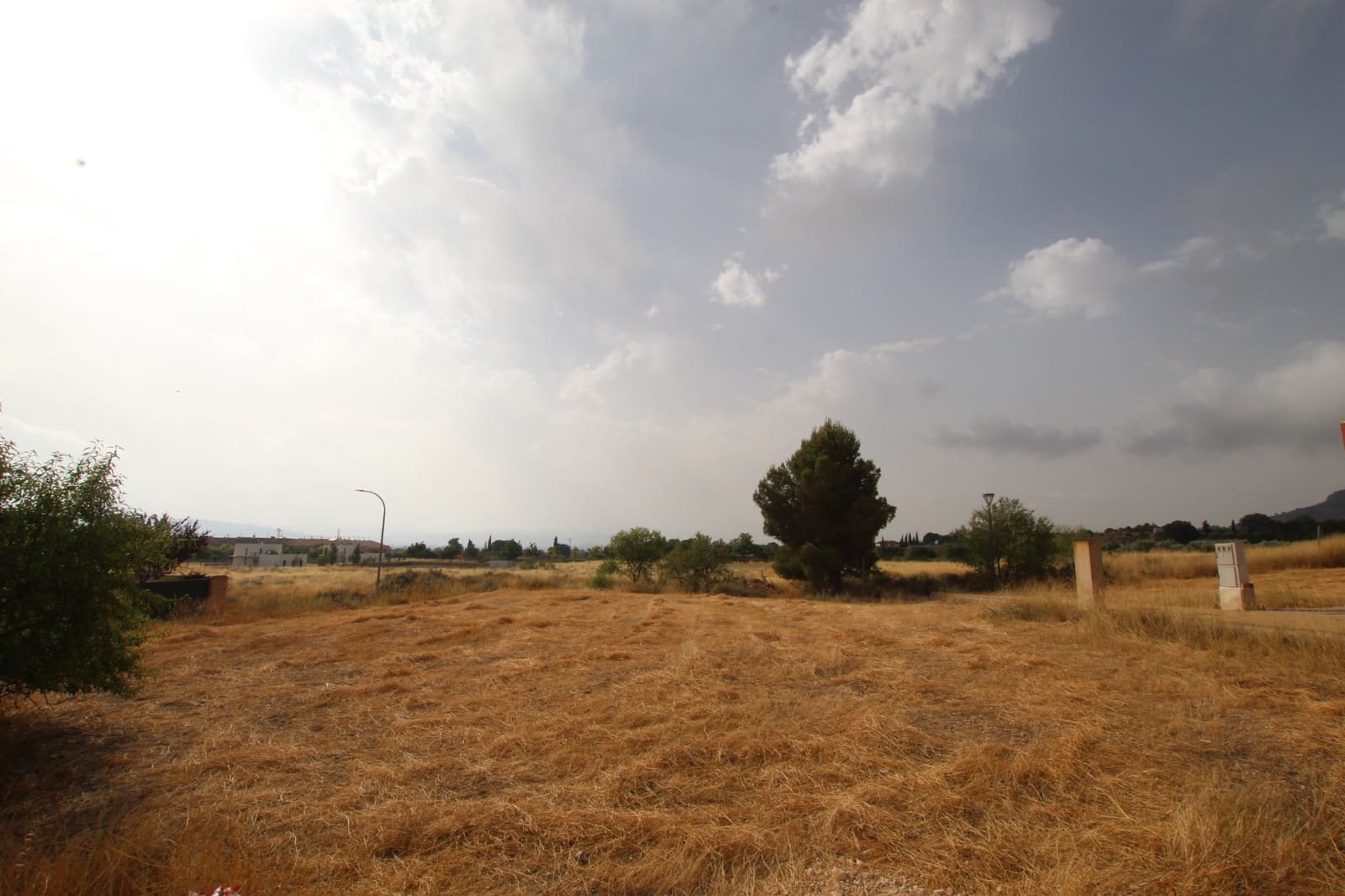 Terre non Aménagée à vendre à Caudete - 54 995 € (Ref: 6965448)