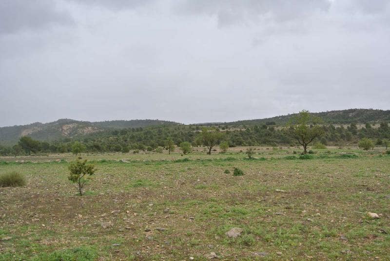 Terre non Aménagée à vendre à Yecla - 3 000 000 € (Ref: 7247232)