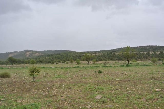 Terre non Aménagée à vendre à Yecla - 3 000 000 € (Ref: 7247232)