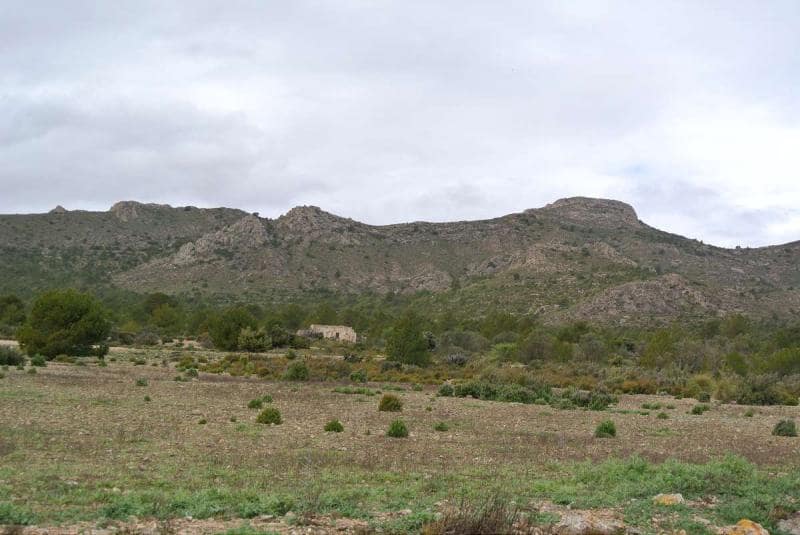Terre non Aménagée à vendre à Yecla - 3 000 000 € (Ref: 7247232)