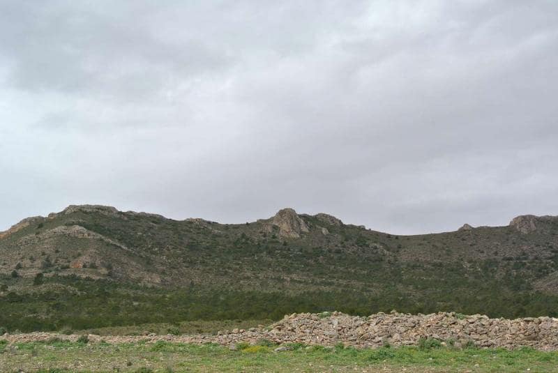 Terre non Aménagée à vendre à Yecla - 3 000 000 € (Ref: 7247232)