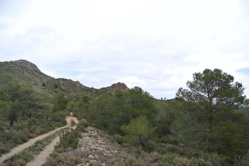 Terre non Aménagée à vendre à Yecla - 3 000 000 € (Ref: 7247232)