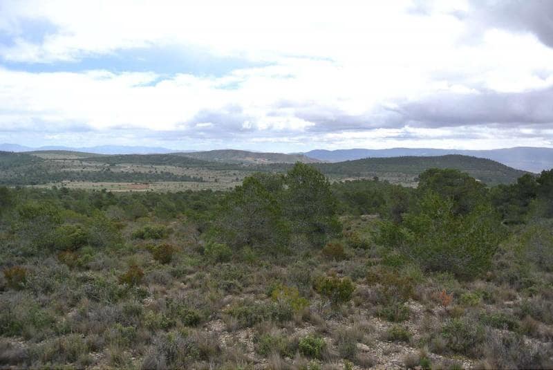 Terre non Aménagée à vendre à Yecla - 3 000 000 € (Ref: 7247232)