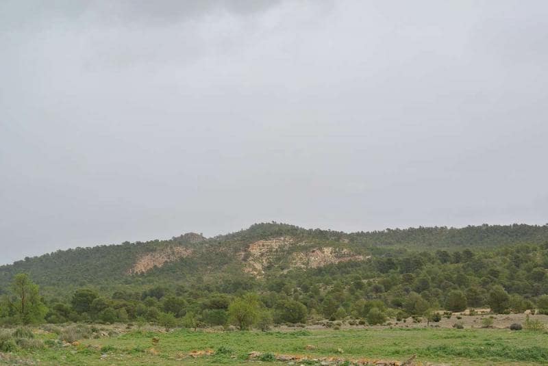 Terre non Aménagée à vendre à Yecla - 3 000 000 € (Ref: 7247232)