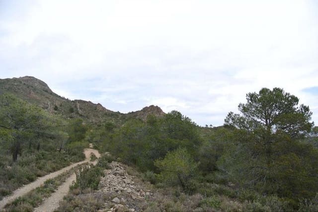 Terre non Aménagée à vendre à Yecla - 3 000 000 € (Ref: 7247232)