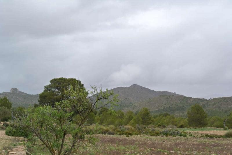 Terre non Aménagée à vendre à Yecla - 3 000 000 € (Ref: 7247232)