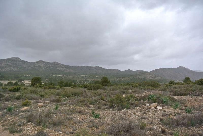 Terre non Aménagée à vendre à Yecla - 3 000 000 € (Ref: 7247232)