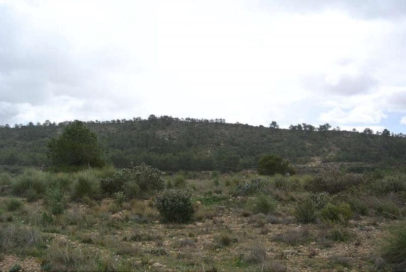 Terre non Aménagée à vendre à Yecla - 3 000 000 € (Ref: 7247232)