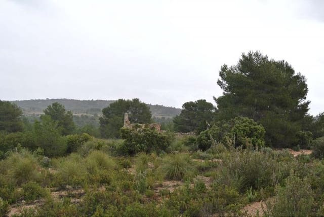 Terre non Aménagée à vendre à Yecla - 3 000 000 € (Ref: 7247232)