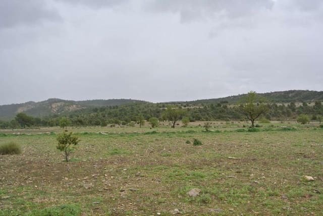 Terre non Aménagée à vendre à Yecla - 3 000 000 € (Ref: 7247232)