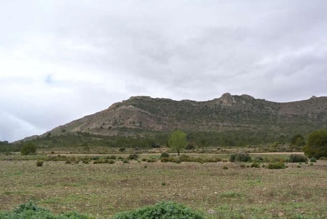 Terre non Aménagée à vendre à Yecla - 3 000 000 € (Ref: 7247232)