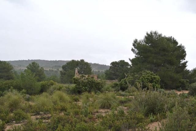 Terre non Aménagée à vendre à Yecla - 3 000 000 € (Ref: 7247232)