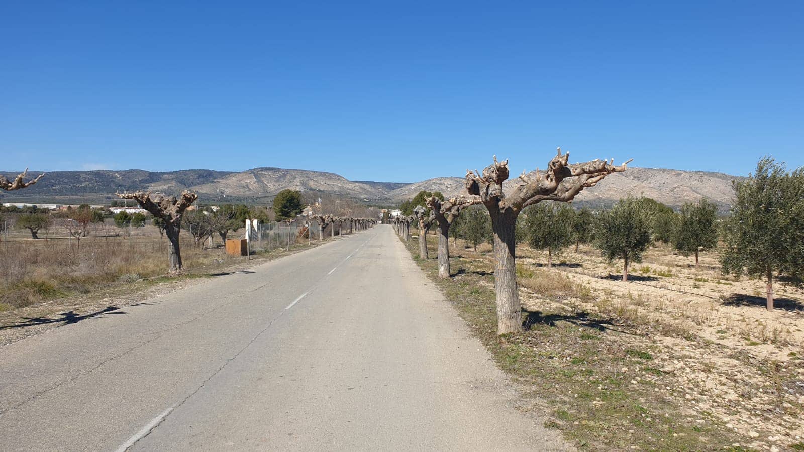 Terre non Aménagée à vendre à Benejama / Beneixama - 131 995 € (Ref: 7443698)