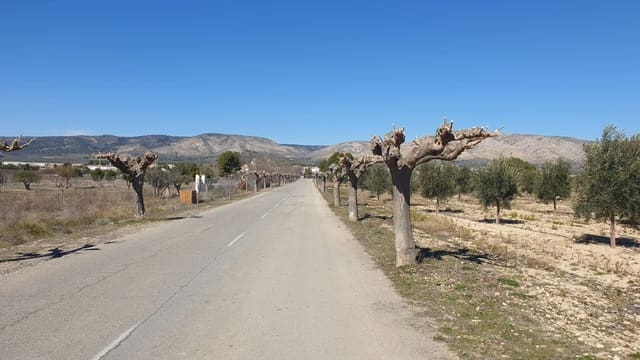 Terre non Aménagée à vendre à Benejama / Beneixama - 131 995 € (Ref: 7443698)