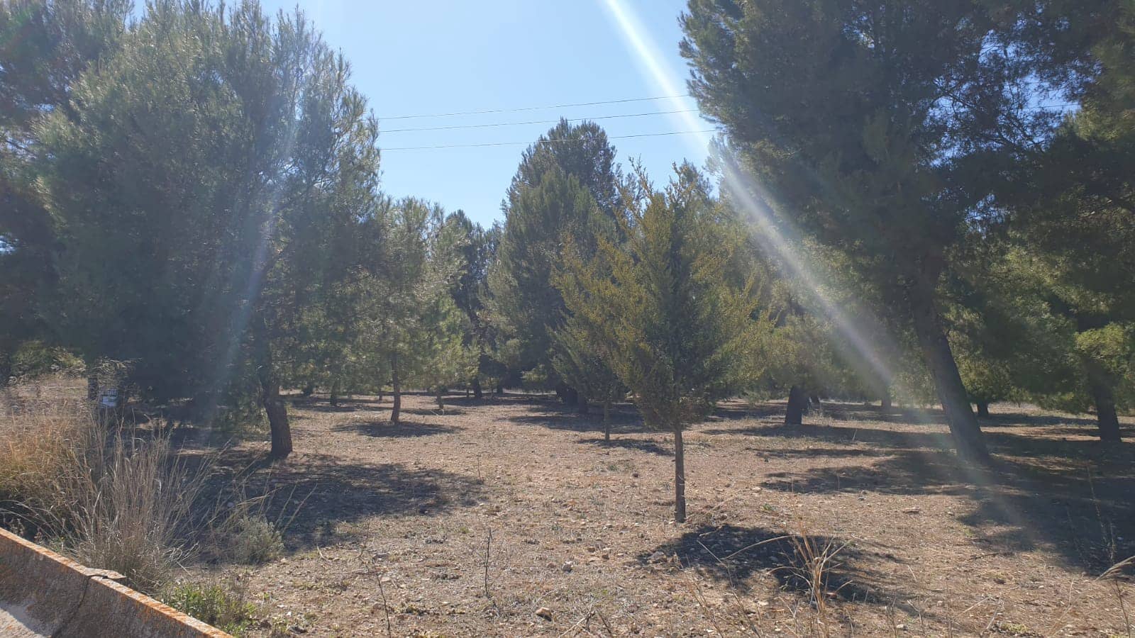 Terre non Aménagée à vendre à Benejama / Beneixama - 131 995 € (Ref: 7443698)