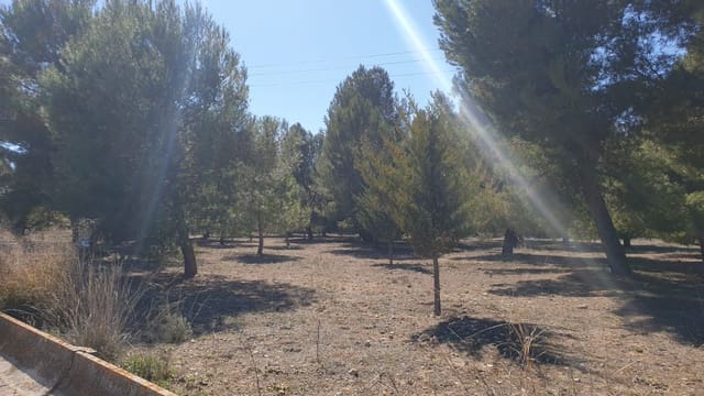 Terre non Aménagée à vendre à Benejama / Beneixama - 131 995 € (Ref: 7443698)