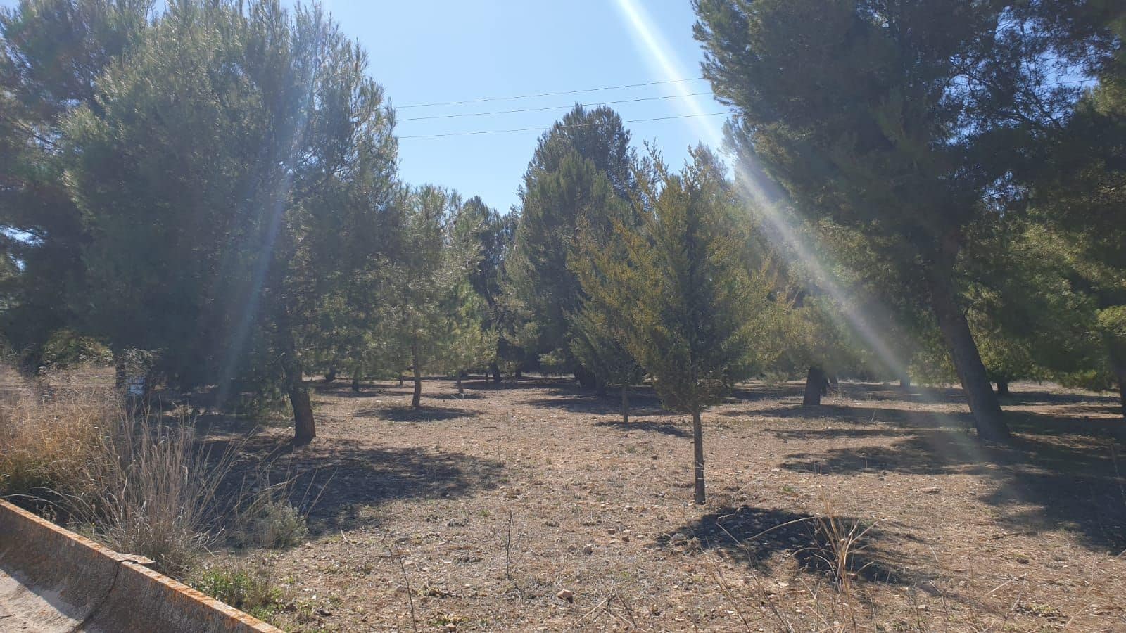 Undeveloped Land for sale in Benejama / Beneixama - € 131,995 (Ref: 7443698)