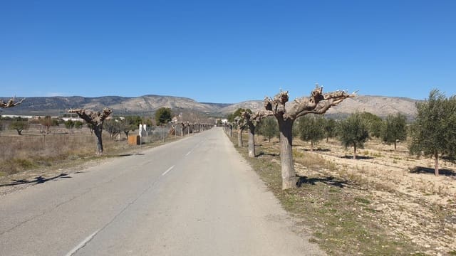 Ubebygd land til salgs i Benejama / Beneixama - € 131 995 (Ref: 7443698)