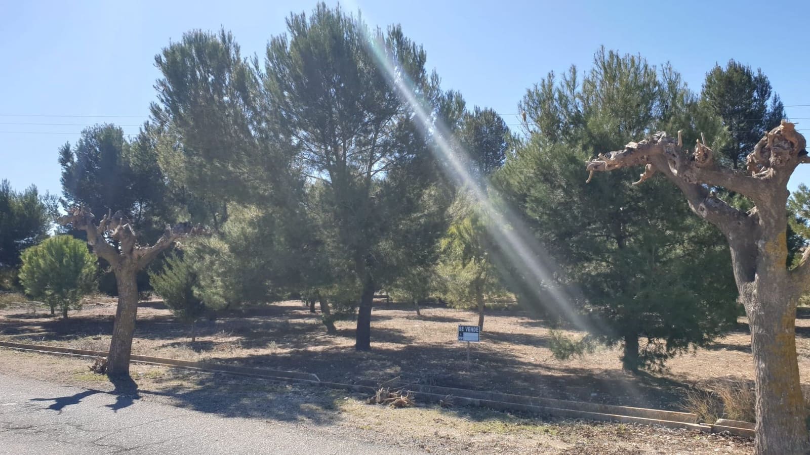 Undeveloped Land for sale in Benejama / Beneixama - € 131,995 (Ref: 7443698)