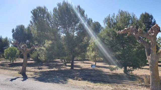 Ubebygd land til salgs i Benejama / Beneixama - € 131 995 (Ref: 7443698)