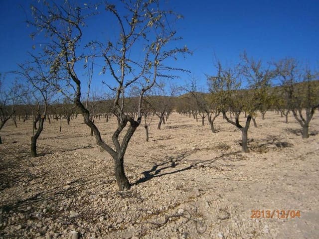 Terre non Aménagée à vendre à Yecla - 84 995 € (Ref: 7558395)