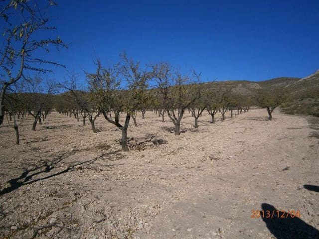 Terre non Aménagée à vendre à Yecla - 84 995 € (Ref: 7558395)