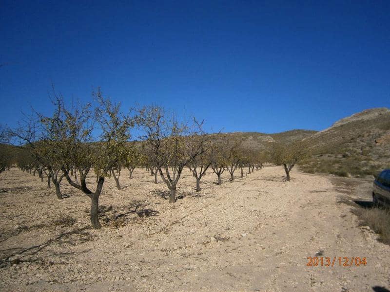 Terre non Aménagée à vendre à Yecla - 84 995 € (Ref: 7558395)