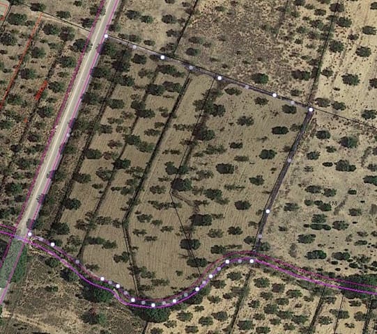 Terre non Aménagée à vendre à Biar - 29 995 € (Ref: 7723127)